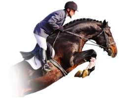 category-sport-equestrian