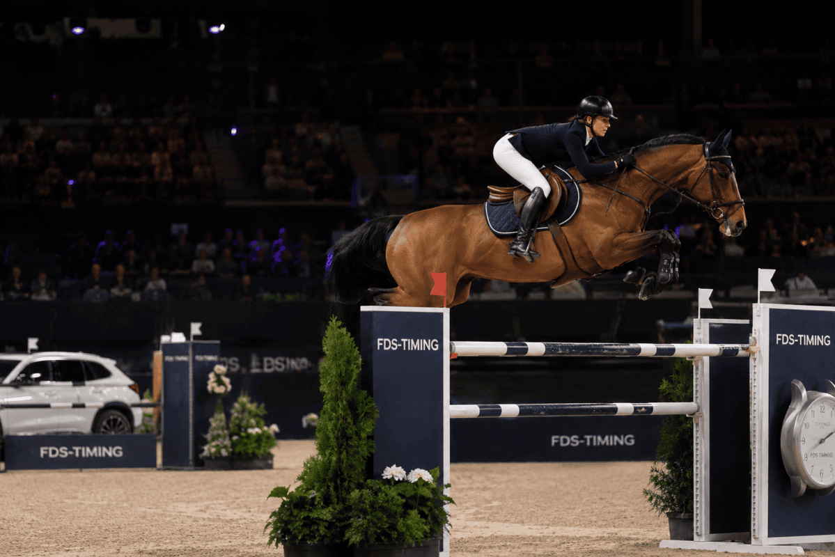 A rider in a navy jacket and white breeches jumps a bay horse over a showjump in an indoor arena, spectators in the background.